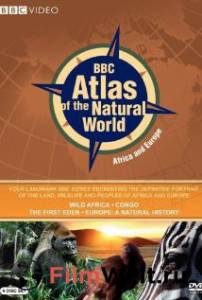 Смотреть Эволюция Европы (сериал) - Europe: A Natural History - (2005 (1 сезон)) онлайн Смотреть Эволюция Европы (сериал) - Europe: A Natural History - (2005 (1 сезон)) онлайн
