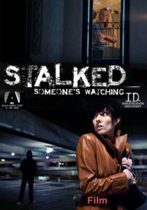 онлайн кадр Преследование: За вами кто-то следит (сериал 2011 – ...) 2011 онлайн кадр из фильма