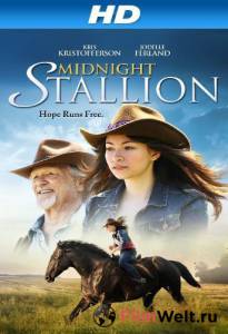 Смотреть интересный фильм Полночный жеребец Midnight Stallion онлайн Смотреть интересный фильм Полночный жеребец Midnight Stallion онлайн