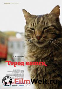онлайн кадр Город кошек 2016 онлайн кадр из фильма