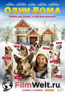 Фильм онлайн Одни дома (2021) / Pups Alone бесплатно