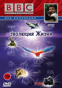 Кино BBC: Эволюция жизни (сериал) / Journey of Life смотреть онлайн бесплатно Кино BBC: Эволюция жизни (сериал) / Journey of Life смотреть онлайн бесплатно