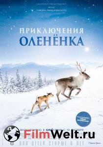 Смотреть фильм Приключения олененка - A"ilo: Une odyss'ee en Laponie бесплатно