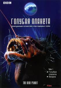 онлайн кадр BBC: Голубая планета (мини-сериал) 2001 онлайн кадр из фильма