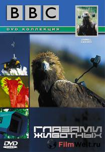 Кино BBC: Глазами животных (сериал) / Animal Camera онлайн Кино BBC: Глазами животных (сериал) / Animal Camera онлайн
