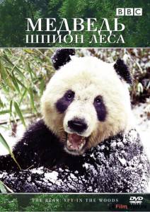Смотреть фильм Медведь: Шпион леса (ТВ) - Bears: Spy in the Woods - 2004 бесплатно Смотреть фильм Медведь: Шпион леса (ТВ) - Bears: Spy in the Woods - 2004 бесплатно