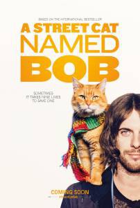 Уличный кот по кличке Боб / A Street Cat Named Bob / (2016) онлайн без регистрации Уличный кот по кличке Боб / A Street Cat Named Bob / (2016) онлайн без регистрации