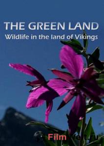 Кино Гренландия: Дикая природа страны викингов (ТВ) - The Green Land: Wildlife in the Land of Vikings смотреть онлайн