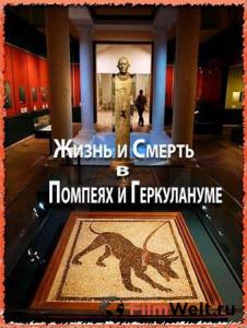 Смотреть Жизнь и смерть в Помпеях и Геркулануме (ТВ) / The Other Pompeii: Life & Death in Herculaneum бесплатно без регистрации Смотреть Жизнь и смерть в Помпеях и Геркулануме (ТВ) / The Other Pompeii: Life & Death in Herculaneum бесплатно без регистрации