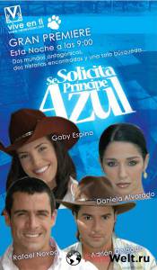 Фильм онлайн В поисках идеального мужчины (сериал) - Se solicita prncipe azul - 2005 (1 сезон) без регистрации