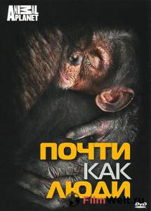 Discovery: Почти как люди (ТВ) онлайн кадр из фильма Discovery: Почти как люди (ТВ) онлайн кадр из фильма
