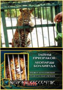 НГО: Тайны призраков: Леопарды Болливуда (ТВ) - НГО: Тайны призраков: Леопарды Болливуда (ТВ) - 2002 смотреть онлайн бесплатно НГО: Тайны призраков: Леопарды Болливуда (ТВ) - НГО: Тайны призраков: Леопарды Болливуда (ТВ) - 2002 смотреть онлайн бесплатно