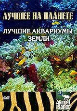 Фильм Animal Planet: Лучшие аквариумы земли (ТВ) смотреть онлайн Фильм Animal Planet: Лучшие аквариумы земли (ТВ) смотреть онлайн