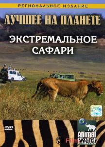 онлайн кадр Animal Planet: Экстремальное сафари (ТВ) 2007 онлайн кадр из фильма