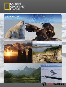 онлайн кадр Дикая природа России (мини-сериал) 2008 онлайн кадр из фильма
