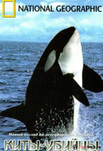 Смотреть интересный фильм Киты-убийцы (ТВ) Secret Killers of Monterey Bay 2001 онлайн Смотреть интересный фильм Киты-убийцы (ТВ) Secret Killers of Monterey Bay 2001 онлайн
