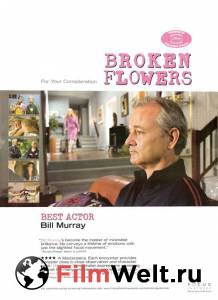     Broken Flowers 