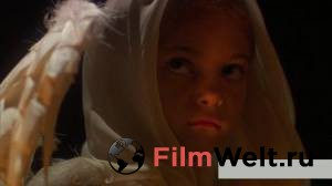 ���� (�����) 2008 ������ ���� �� ������