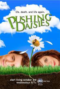      ( 2007  2009) Pushing Daisies 2007 (2 )  