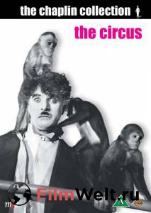    / The Circus