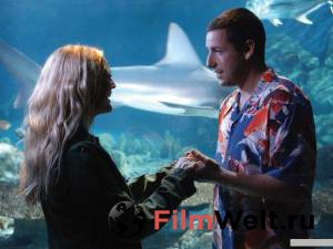    50   / 50 First Dates 