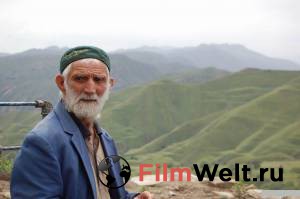 ���� ������ - ������ ������