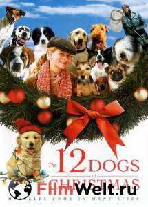   12   - The 12 Dogs of Christmas
