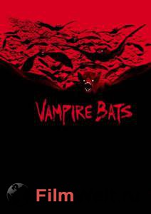    () - Vampire Bats - 2005