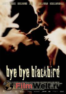 ,   - Bye Bye Blackbird  