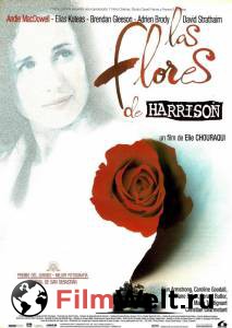     / Harrison's Flowers / 2000 
