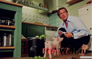       - Rennschwein Rudi Rssel 2 - Rudi rennt wieder! - (2007) online