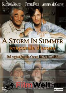      () - A Storm in Summer 