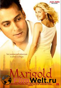   :    / Marigold / 2007