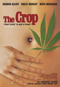    / The Crop / 2004 