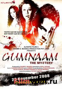  Gumnaam: The Mystery (2008)    