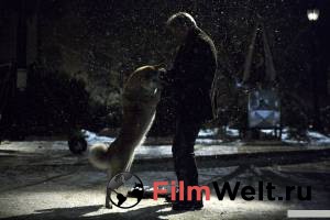 ������ ���� � ������ ������