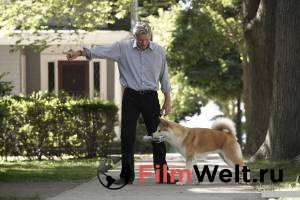 ������: ����� ������ ���� 2008 ������ ���� �� ������