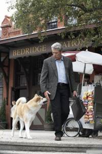 ������: ����� ������ ���� [2008] ������ ����� ���������