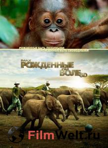 ��������� �� ���� - 2011 �������� ������