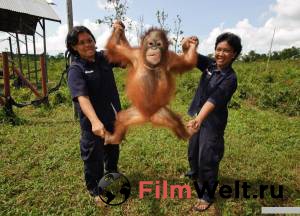 ��������� �� ���� 2011 ������ ���� �� ������