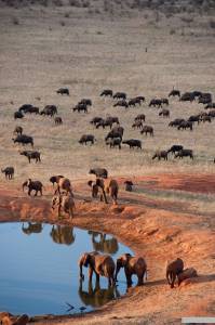 ������ ���� ��������� �� ���� [2011] ��������