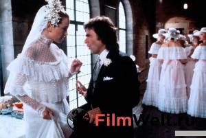 ����� 1981 ������ ���� �� ������