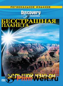   Discovery:   ( 2008  ...) / (2008 (1 )) 