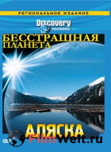  Discovery:   ( 2008  ...) - [2008 (1 )]  