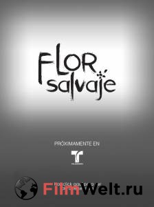     () - Flor Salvaje - [2011] 