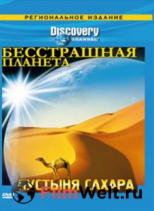  Discovery:   ( 2008  ...) / Fearless Planet / (2008 (1 ))   