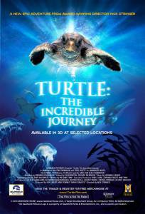       3D:  / Turtle: The Incredible Journey / [2009] 