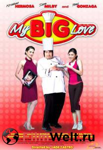     My Big Love (2008)   