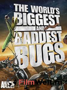           () - World's Biggest and Baddest Bugs 