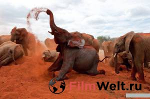 ������ ���� � ������ ������